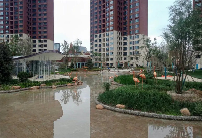 202010011601515478429026.jpg 640.webp (3).jpg